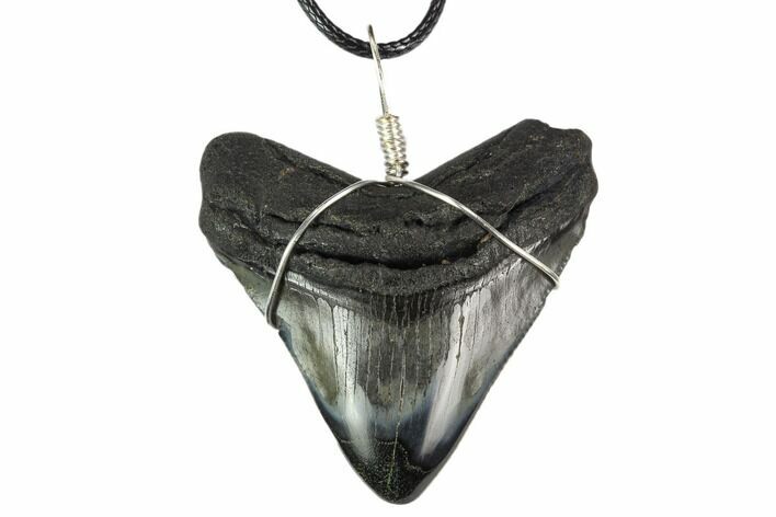 2.15" Fossil Megalodon Tooth Necklace - Serrated Blade